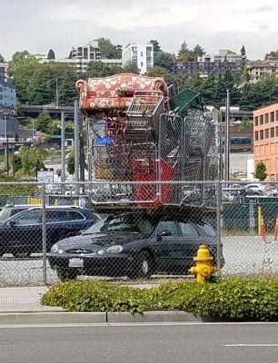 jumbo roof rack.jpg