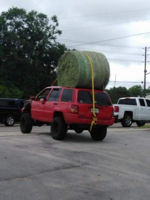 jeep with round bale on roof.jpg