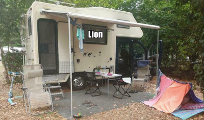 Lion.png