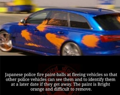 paint balls.JPG