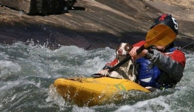 dog in kayak.jpg