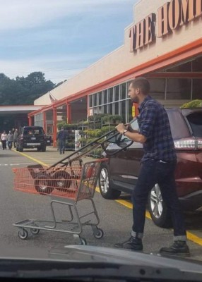 barrow in trolley.jpg