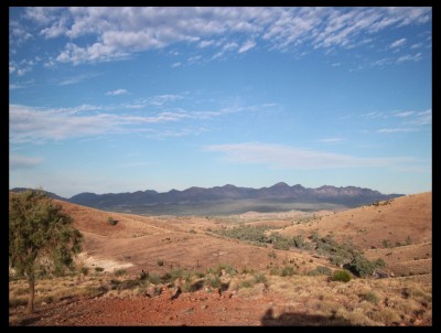 wilpena-np-distant-view.jpg