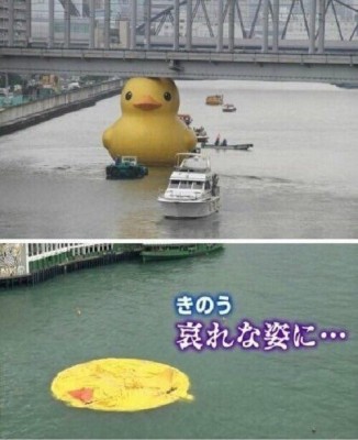 duck deflated.jpg
