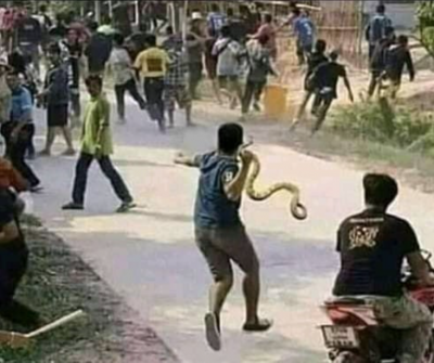 snake.png